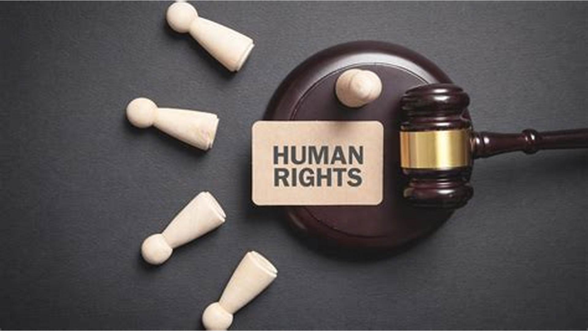 Human Rights Law